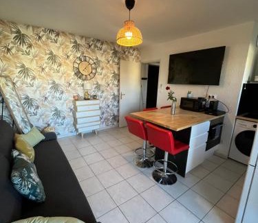 Croix-d'Argent Apartment | Joli T2/Tram/Clim/Parking/Wifi/Piscine