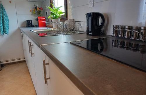 Paray-Vieille-Poste Apartment | Jolie F2-5mn de l'aéroport d'Orly parking privé gratuit