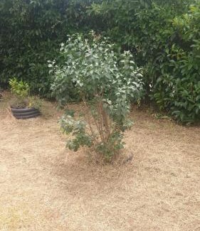 Abbazia House | Jolie villa 6 pers avec jardin