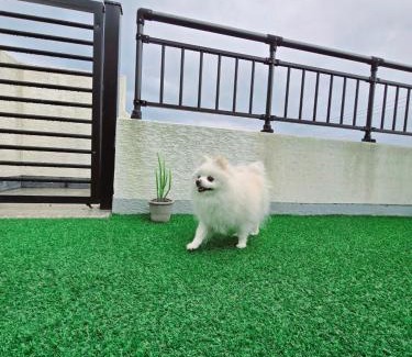 Jongdal-ri Apartment | Jongdal Googyeong