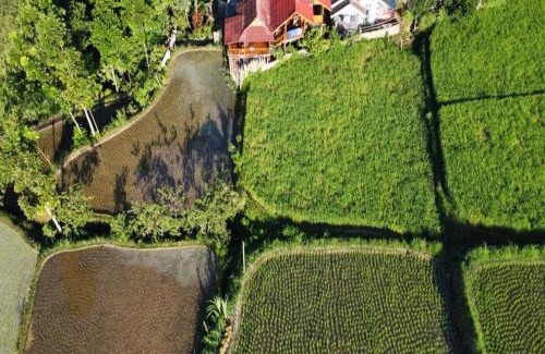 Tetebatu House | Jonny's Places