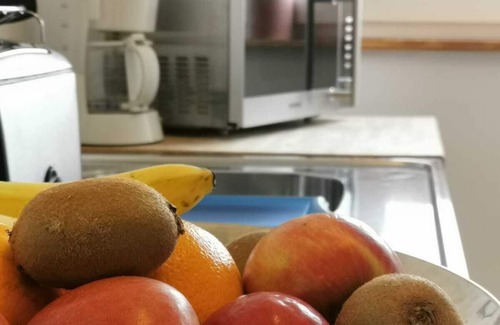 Mellenthin Apartment | Journey to the center of the island of Usedom