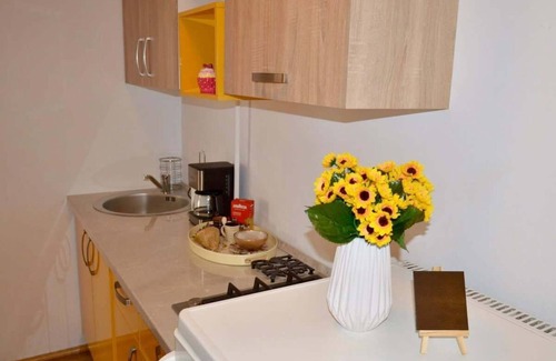 Old City Apartment | Joy City Stay Prefectura 1