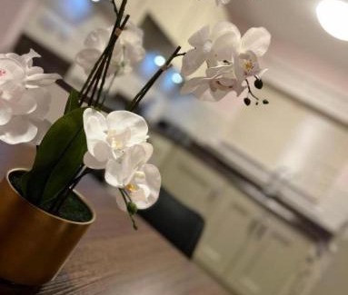 Emersons Green Villa | Joy House