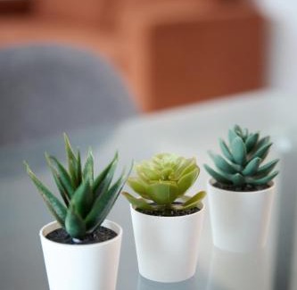 Old Trafford Apartment | Joyful Group - Warm 2 Bed Ensuite Apartment near Manchester City Centre and Old Trafford