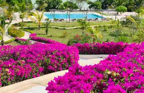 Michamvi Resort | Jua Retreat Adults Only