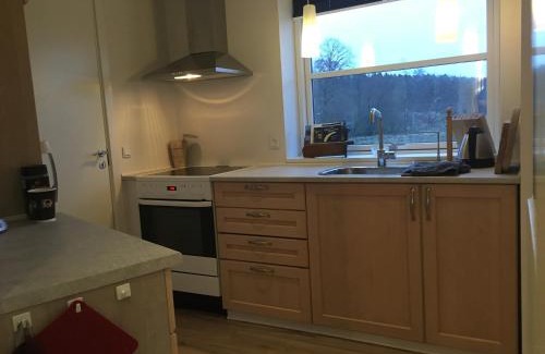 Svejbæk Apartment | Julsø lejligheden