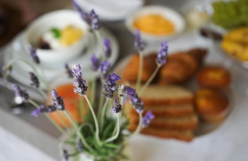 Reebok Bed & Breakfast | Julsie's Home