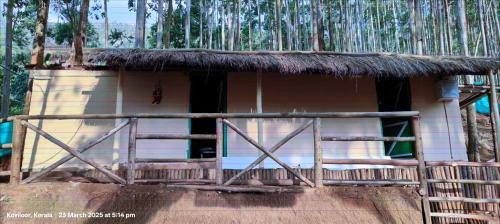 Vattavada Other | Jumanji the Jungle Home