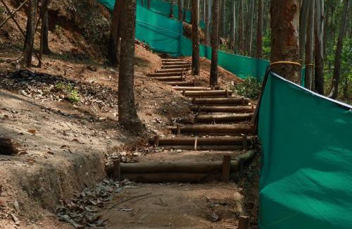 Vattavada Other | Jumanji the Jungle Home