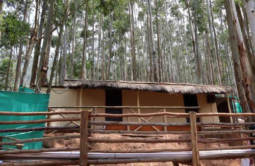Vattavada Other | Jumanji the Jungle Home