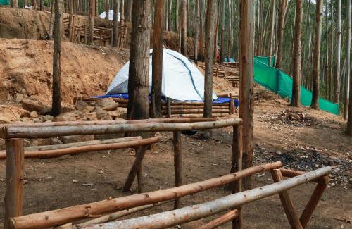 Vattavada Other | Jumanji the Jungle Home