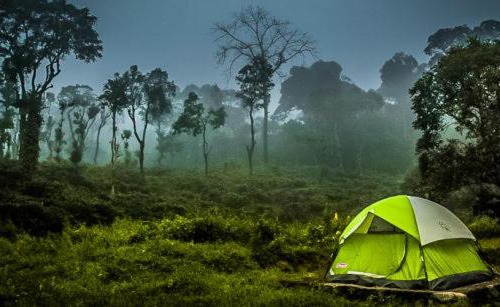 Chintapalle House | Jungle Campingg