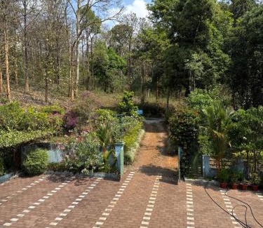 Kaimane Bed & Breakfast | Jungle Castle