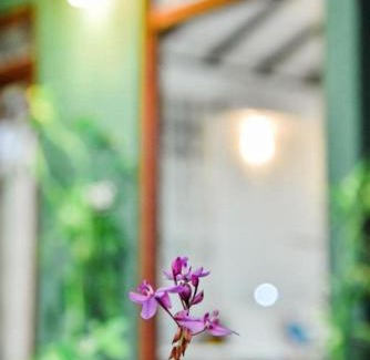 Sevanagala House | Jungle Edge Cottage