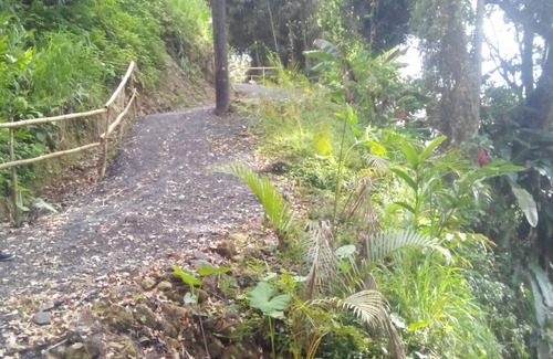 Laborie Cabin | Jungle escape eco lodge and waterfall