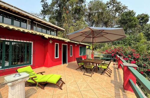 Nogueira House | Jungle Fever: Charming House in Itaipava.