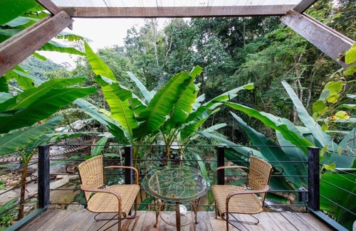 Doi Saket Cabin | Jungle Glass Box Waterfall View