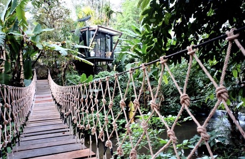 Doi Saket Cabin | Jungle Glass Box Waterfall View