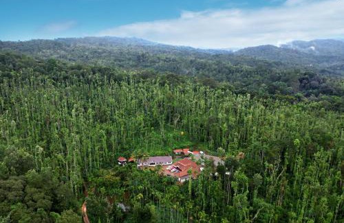 Chikkamagaluru House | Jungle Greens Homestay - Water Activities, 150Y Estate, Home Food