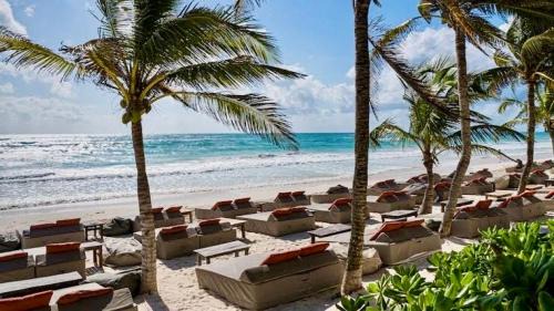 Playa Paraiso Apartment | Jungle Guardian - Rooftop Pool & Beach Club in Zona Hotelera Tulum