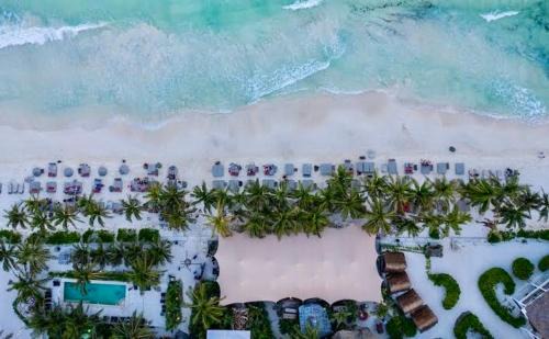 Playa Paraiso Apartment | Jungle Guardian - Rooftop Pool & Beach Club in Zona Hotelera Tulum