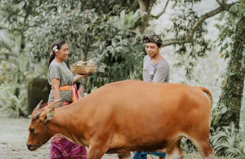 Samplangan Villa | Jungle House Estate