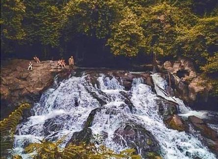 Samplangan Villa | Jungle House Estate