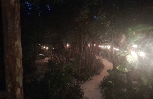Macario Gomez House | Jungle house.in Mcario Gomez 19 km outside of Tulum.