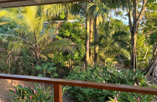 Isla Solarte House | Jungle House Isla Solarte Bocas del Toro