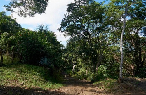 Rio Seco Cabin | Jungle House- Natural Ocean View Cabin