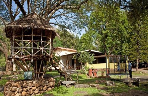 Masinagudi Resort | Jungle Hut Resort