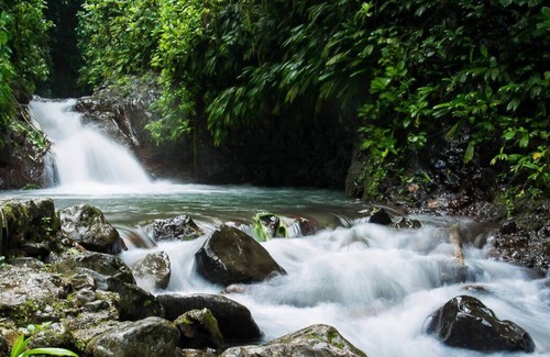Canton Parrita House | Jungle Mountain House with Private Pool and 3 Bedrooms near Manuel Antonio