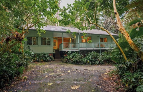 Kailua-Kona House | Jungle Retreat in Kona Cloud Forest Sanctuary, An unforgettable Cloud Forest Sanctuary retreat exper