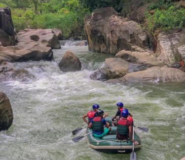 Ginigathena Resort | Jungle River