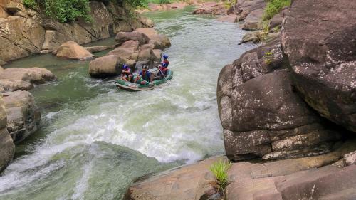 Ginigathena Resort | Jungle River