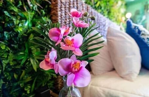 Trenton Hotel | Jungle Room #7 - 1960 Retro Motel