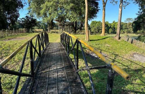 Nagaon Resort | Jungleciti House, Kaziranga National Park