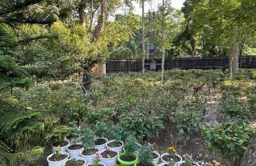 Nagaon Resort | Jungleciti House, Kaziranga National Park