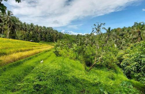 East Selemadeg Ski Chalet | JungleHavenBali - Private and Nature Stay