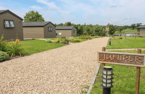 Swadlincote House | Juniper