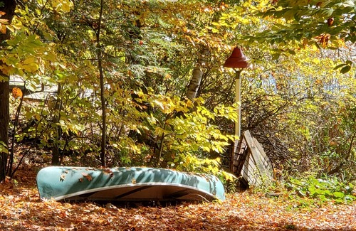 Rideau Lakes Cabin | Just a fishing cabin in the woods.