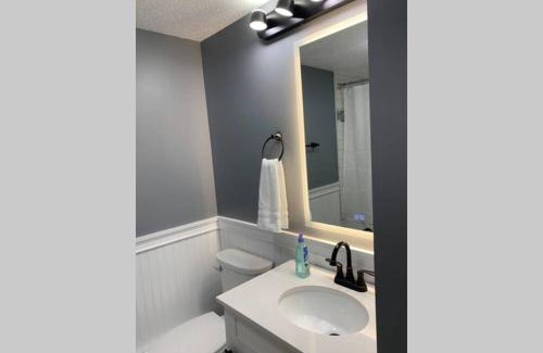 Village at Camelback House | Just renovated Camelback SKI-ON/OFF,SNOW TUBING,PAINTBALL