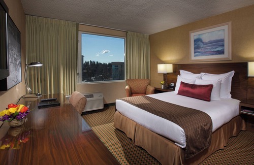 SeaTac Hotel | Just What You Were Looking For! Pets Allowed, Free Parking & Airport Shuttle