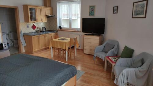 Trebic Apartment | Juvenis