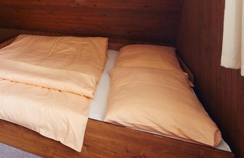 Janske Lazne Cabin | Kábrtova bouda