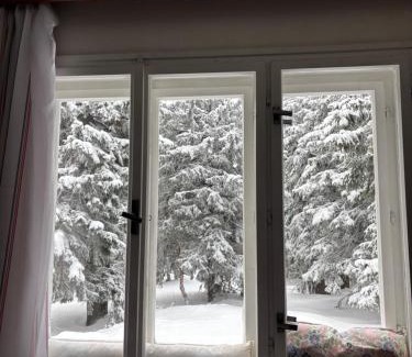 Janske Lazne Cabin | Kábrtova bouda