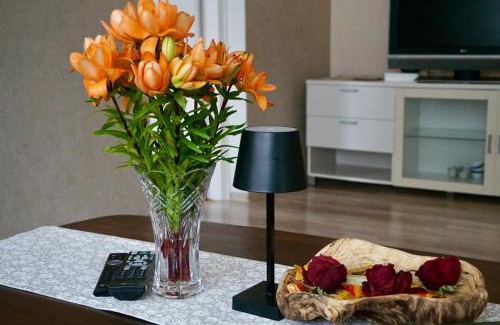 Torva Apartment | Külaliskorter Tõrva linnas