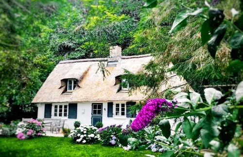 Rabenkirchen-Faulueck House | Küstenwäldchen