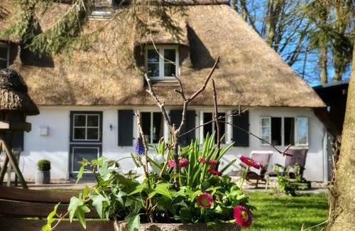 Rabenkirchen-Faulueck House | Küstenwäldchen